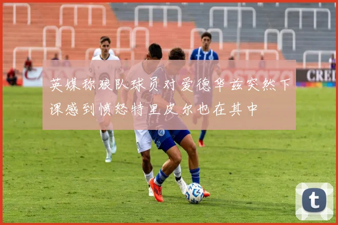 英媒称狼队球员对爱德华兹突然下课感到愤怒特里皮尔也在其中