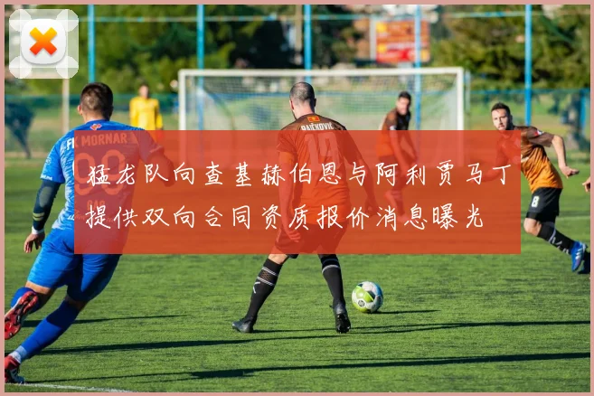 猛龙队向查基赫伯恩与阿利贾马丁提供双向合同资质报价消息曝光